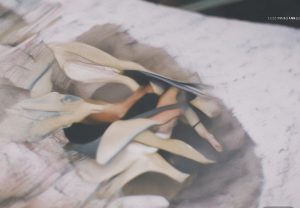 意甲经典对决：国际米兰VS都灵赛事回顾与深度分析